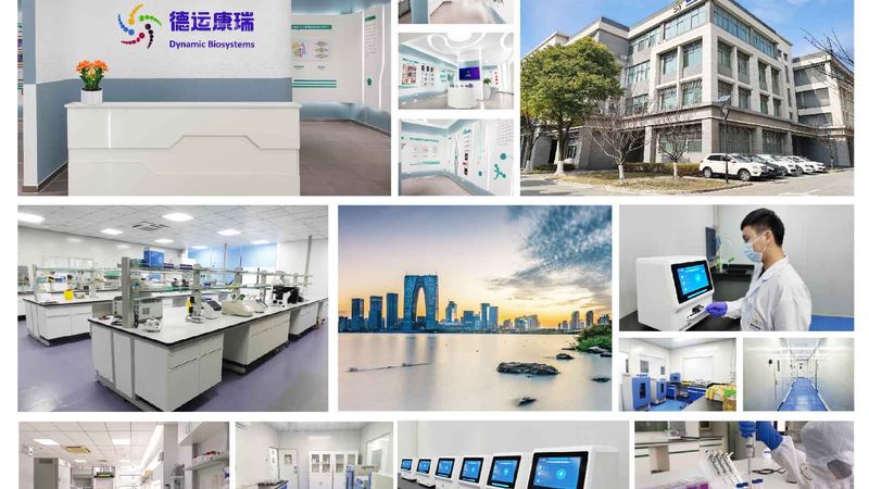 免疫組化抗體稀釋比例：揭秘精準(zhǔn)診斷的“金鑰匙