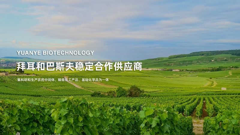 醫(yī)藥用酶分類及用途解析：揭開酶制劑在生物醫(yī)藥領(lǐng)域的奧秘