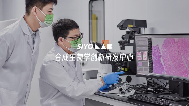 小標(biāo)題：引物合成OD值的意義